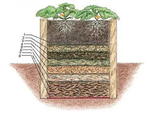 Теплые грядки легко и просто. Конструкция теплой грядки