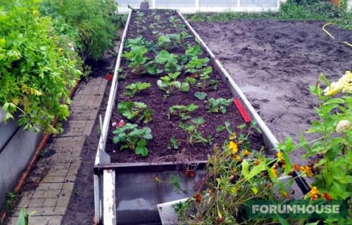 Теплые грядки легко и просто. Конструкция теплой грядки