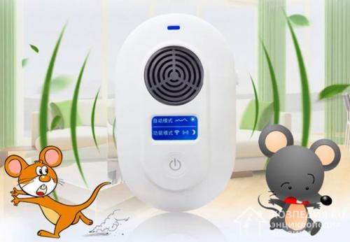 Как избавиться от летучих мышей на даче под крышей. Методы борьбы с вредителями