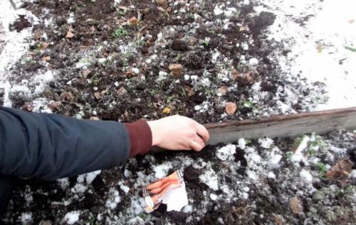 Посадка под зиму. Посадка культур под зиму, что лучше посадить осенью на огороде