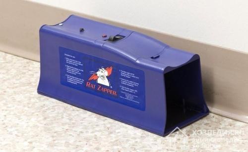 Как избавиться от мышей в квартире самый эффективный способ. Способы выведения грызунов