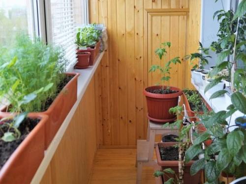 Как готовить к зиме огород. Как правильно соблюсти очередность подготовки 06