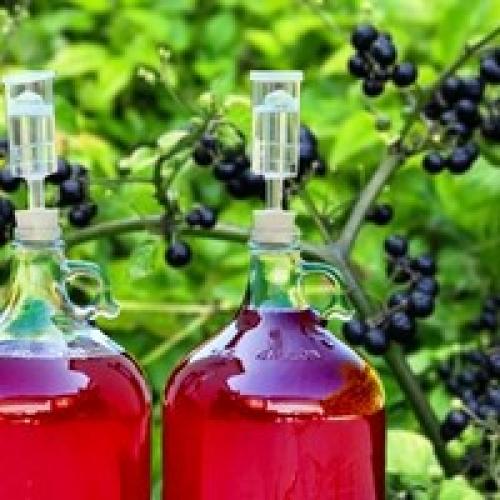 Как сохранить ранетки на зиму свежими в домашних условиях. Три составляющие долгого хранения 12