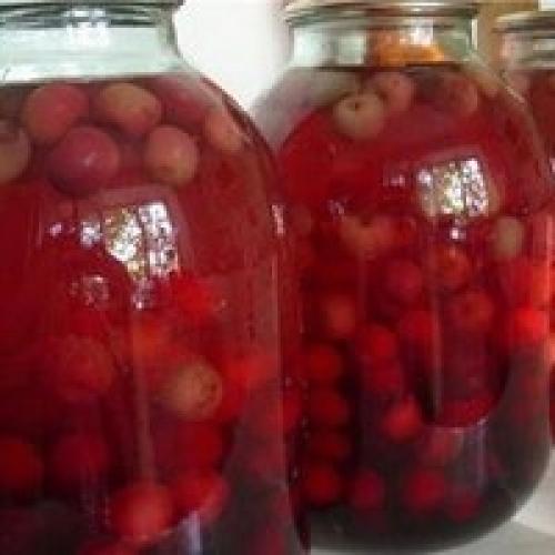 Как сохранить ранетки на зиму свежими в домашних условиях. Три составляющие долгого хранения 15