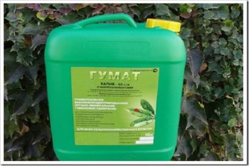 Как приготовить внекорневую подкормку для огурцов калий. Разновидности калийных удобрений