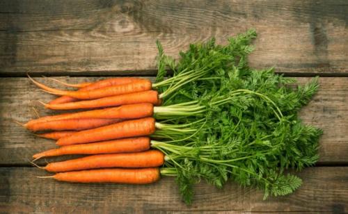 Когда убирать морковь 2020. Когда убирать морковь с грядки в 2020 году, чтобы она хорошо хранилась зимой и оставалась сочной