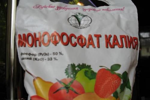 Как приготовить внекорневую подкормку для огурцов калий. Разновидности калийных удобрений