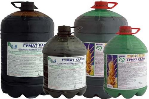 Как приготовить внекорневую подкормку для огурцов калий. Разновидности калийных удобрений