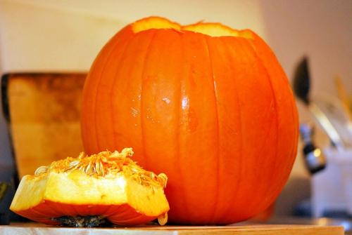 Семена тыквы для посадки. Как правильно заготовить семена тыквы для посадки?