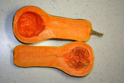 Семена тыквы для посадки. Как правильно заготовить семена тыквы для посадки?