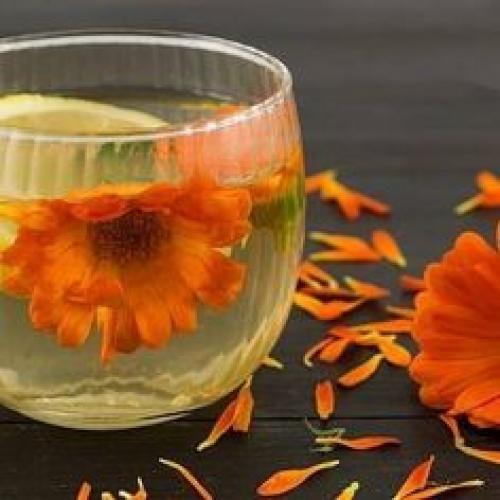 Календула в огороде польза. Польза календулы 02