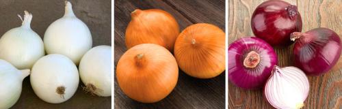 Как получить лук севок. ОСОБЕННОСТИ ВЫРАЩИВАНИЯ РЕПЧАТОГО ЛУКА