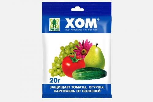 Календула от фитофторы. Как бороться с фитофторой на помидорах: простые и эффективные способы