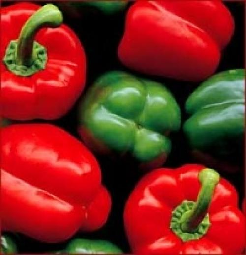 Можно ли брать семена от F1. Как же обстоят дела с популярными самоопыляемыми культурами томата и перца?