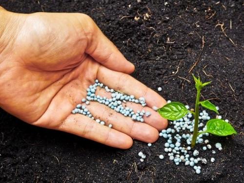 Как отмерить 1 грамм удобрения без весов. Отмеряем удобрения без весов