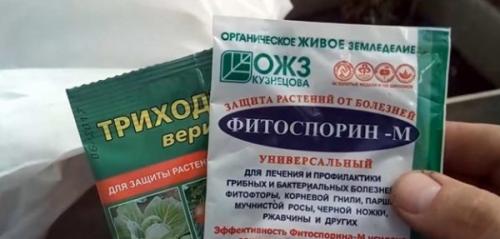 Чем обработать землю в теплице осенью от болезней и вредителей. Чем лучше обработать землю в теплице осенью