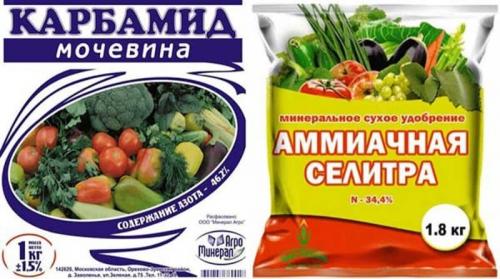 Сколько в спичечном коробке грамм удобрений мочевина. Мочевина (карбамид): удобрение, применение на огороде и саду