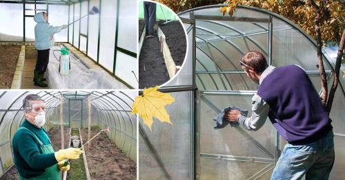 Чем обработать землю в теплице осенью от болезней и вредителей. Чем лучше обработать землю в теплице осенью