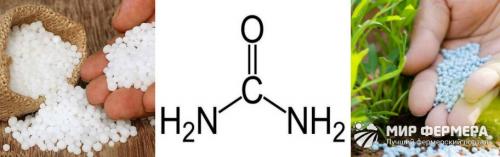 Мочевина удобрение