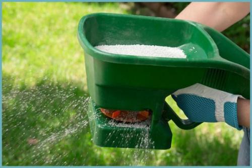 Сколько мочевины на ведро воды. Мочевина –, как применять удобрение правильно