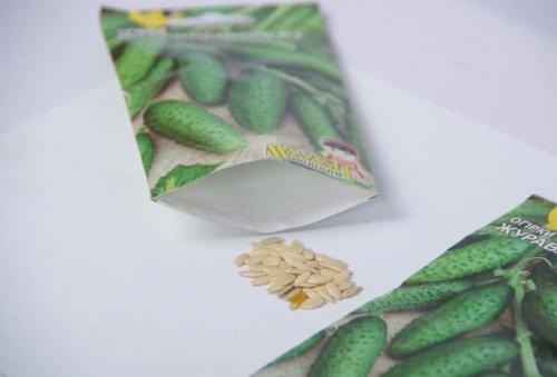 Пустоцвет на огурцах, что делать в открытом грунте. Что делать с пустоцветом на огурцах в открытом грунте и теплице