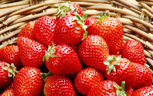 Как правильно пересаживать клубнику в августе. Пересадка клубники в августе