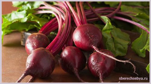 Почему свёкла, а не свекла. Почему многие не любят красную свеклу