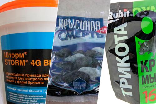 Как избавиться от мышей в квартире самый эффективный способ. Как избавиться от грызунов в квартире?