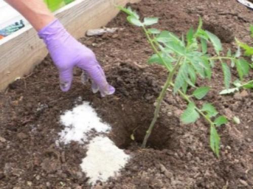 Сколько суперфосфата в столовой ложке. Огородная арифметика: как отмерить удобрения 08