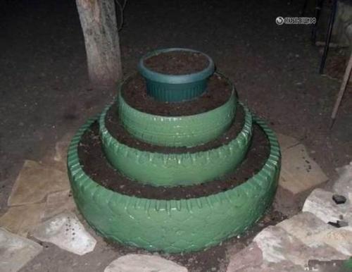 Подготовка грядки под клубнику в августе. Как правильно подготовить рассаду? 12