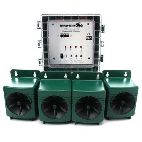 Как укрыть деревья сеткой от птиц. Укрытие молодых деревьев