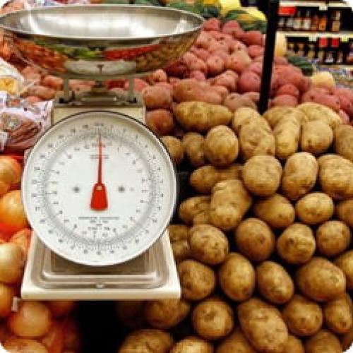 Правильная посадка картофеля. Как посадить картофель: четыре самых известных способа