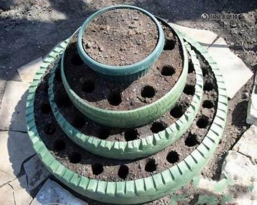 Подготовка грядки под клубнику в августе. Как правильно подготовить рассаду? 13