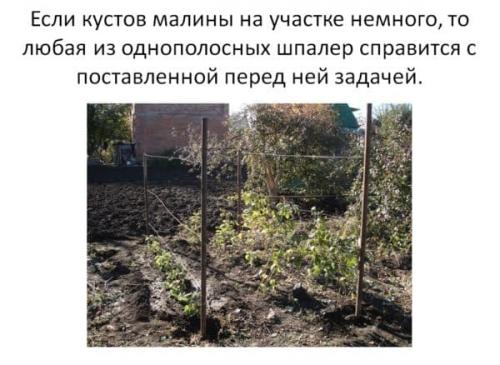 Как огородить малину красиво. Шпалеры для малины своими руками: пошаговая инструкция, как сделать красивое ограждение