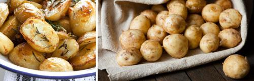 Правильная посадка картофеля. Как посадить картофель: четыре самых известных способа