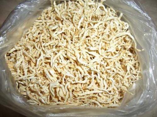 Посадка сельдерея под зиму. Сельдерей под зиму: сроки, особенности посева, уход в период вегетации