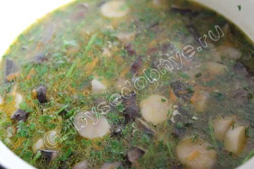 Как приготовить рядовку фиолетовую. Рецепты заготовок рядовки фиолетовой на зиму 06