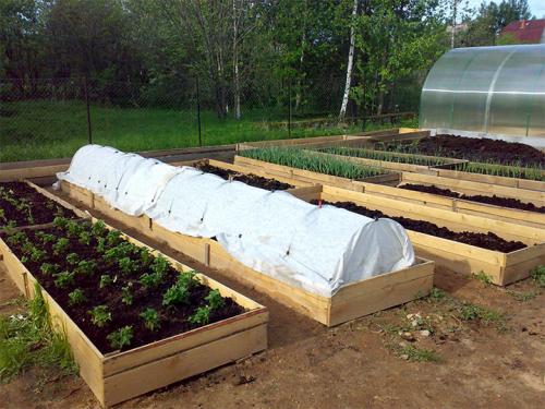Чем огородить грядки на даче дешево. Делаем ограждения вокруг грядок из различных материалов