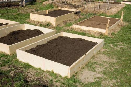 Грядки своими руками не, как у всех интересные идеи. Как создать грядки своими руками не, как у всех: интересные идеи готовых вариантов