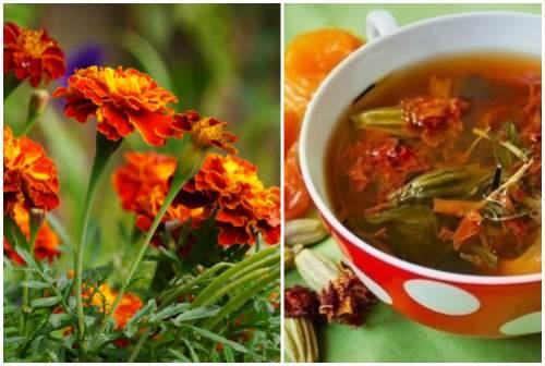 Адская смесь против болезней и вредителей в саду и огороде рецепт. Народные рецепты против насекомых — вредителей растений