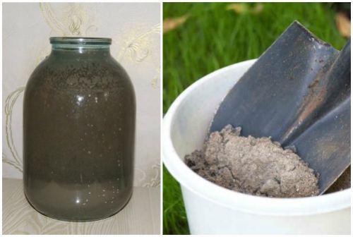 Адская смесь против болезней и вредителей в саду и огороде рецепт. Народные рецепты против насекомых — вредителей растений