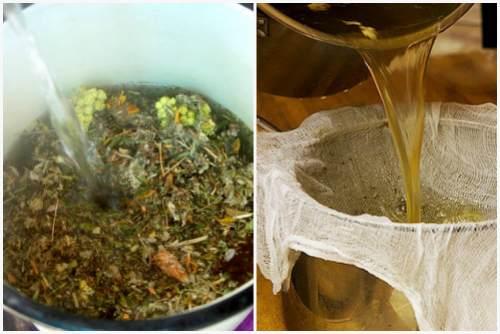 Адская смесь против болезней и вредителей в саду и огороде рецепт. Народные рецепты против насекомых — вредителей растений