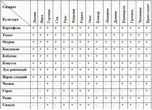 Совместимость сидератов и овощных культур. Таблица совместимости сидератов и огородных культур. 02 Совместимость сидератов и овощных культур. Таблица совместимости сидератов и огородных культур. 02