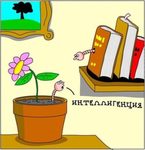 Адская смесь против болезней и вредителей в саду и огороде рецепт. Против всех вредителей. Кто пробовал?