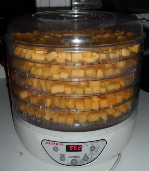 Что можно сделать из тыквы на зиму. Рецепты вкусных заготовок на зиму