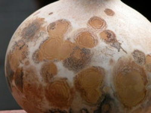 Что делать с декоративной тыквой. Как высушить и сделать твердыми декоративные тыквы