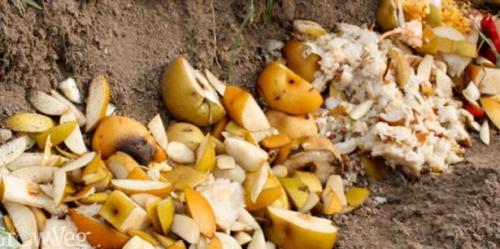 Компост в черном мешке. Все о компосте в мешках 06