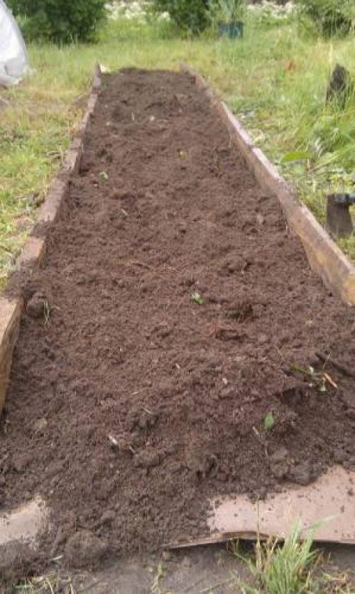 Как освоить целину без перекопки. Разработка целины без перекопки 07