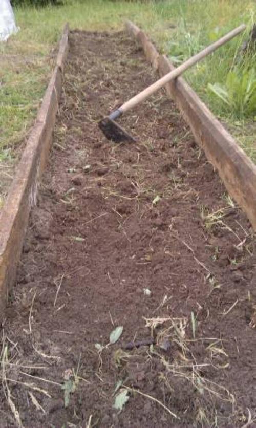 Как освоить целину без перекопки. Разработка целины без перекопки 02