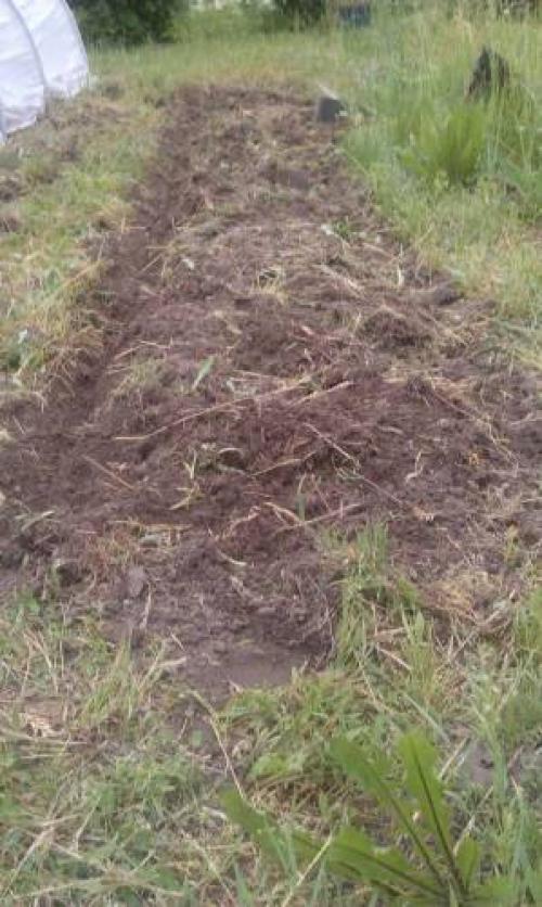 Как освоить целину без перекопки. Разработка целины без перекопки 01